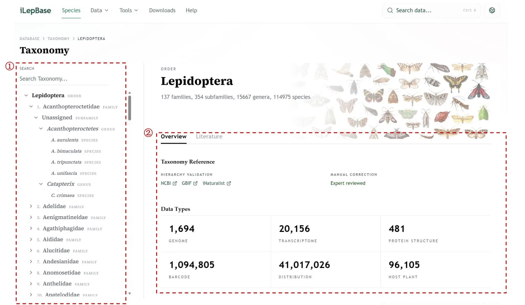 Species taxonomy module overview and search interface