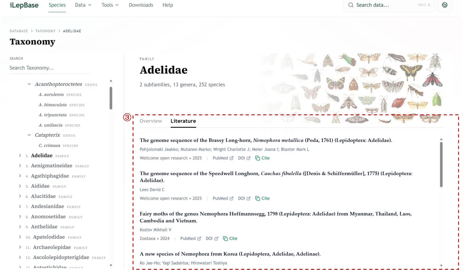 Species taxonomy literature tab