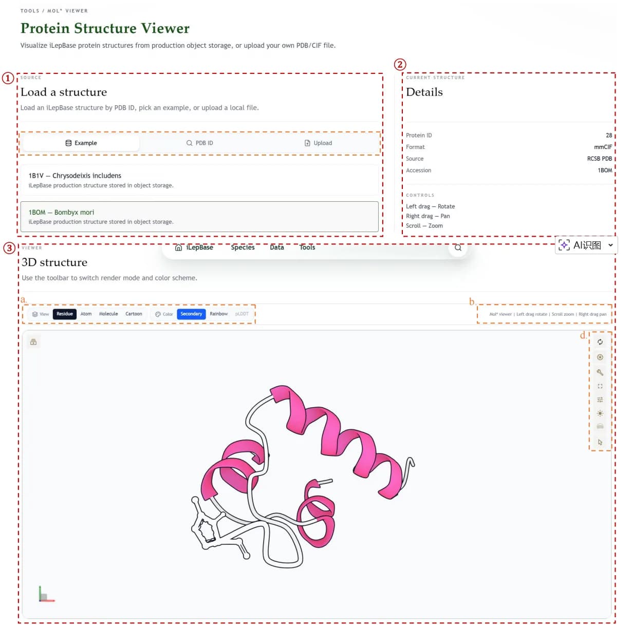 Molstar protein structure viewer tool