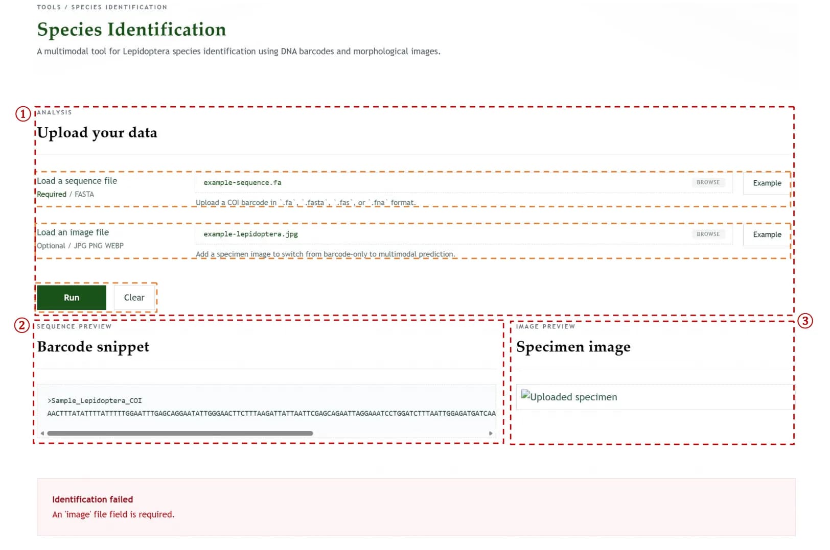 MMNet multimodal species identification tool