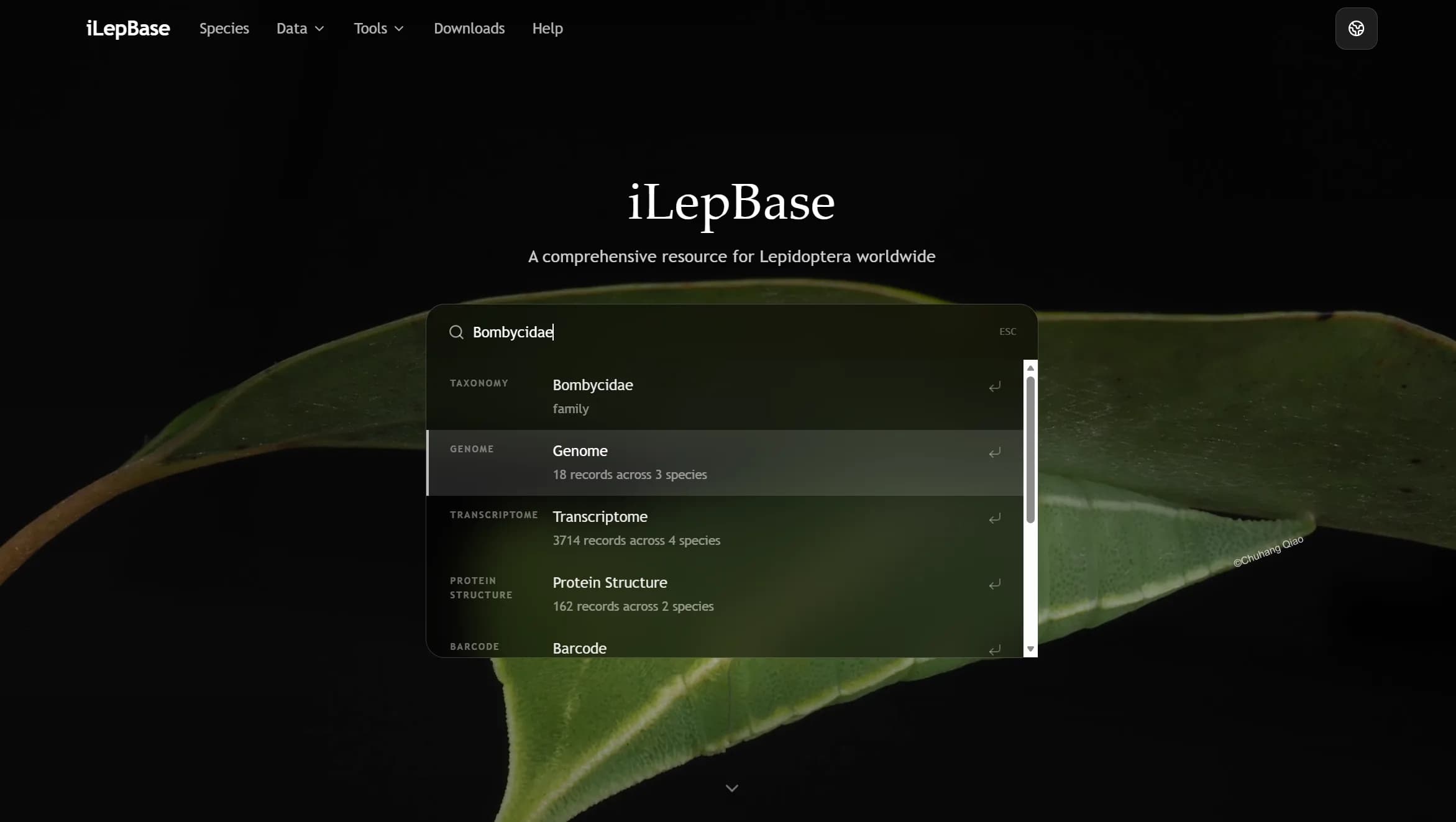 iLepBase homepage data module overview